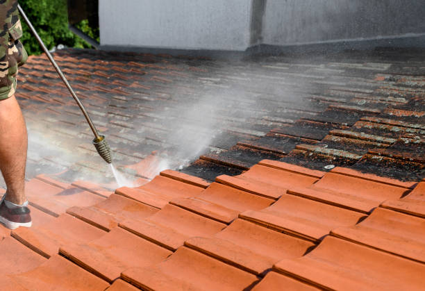 Best Deck Cleaning Services  in Celebration, FL