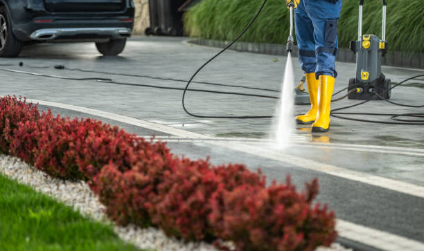 Best Deck Pressure Washing  in Celebration, FL