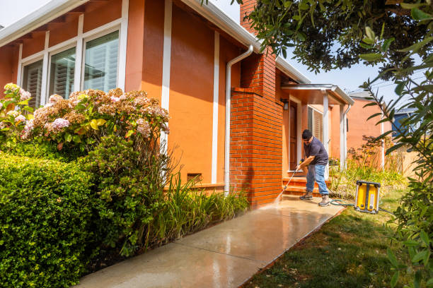 Best Deck Pressure Washing  in Celebration, FL